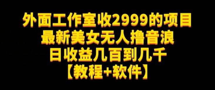外面工作室收2999的项目最新美女无人撸音浪日收益几百到几千【教程+软件】（仅揭秘）-蜜桃网创