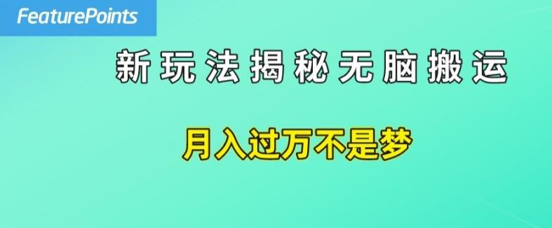 简单操作，每天50美元收入，搬运就是赚钱的秘诀【揭秘】-蜜桃网创
