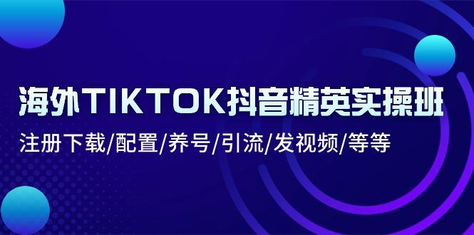 海外TIKTOK抖音精英实操班：注册下载/配置/养号/引流/发视频/等等-蜜桃网创