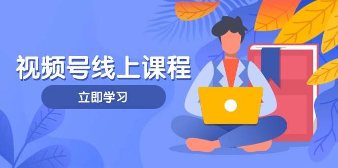 视频号实战课程，轻IP打造与运营技巧，掌握核心方法与策略-蜜桃网创