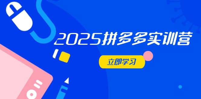 2025拼多多实训营：深度剖析运营关键，助力电商人快速提升-蜜桃网创