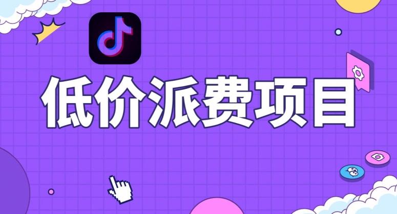 抖音低价派单项目，0门槛，日入1000+很轻松，小白可操作【揭秘】-蜜桃网创