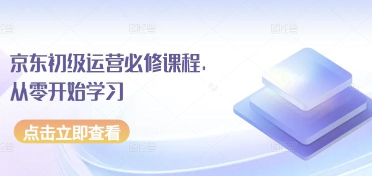 京东初级运营必修课程，从零开始学习-蜜桃网创
