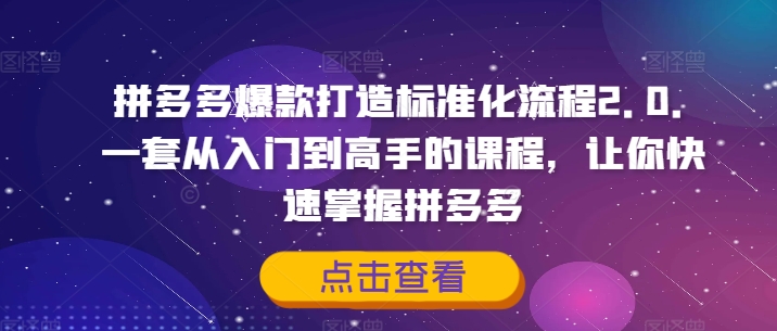 拼多多爆款打造标准化流程2.0，一套从入门到高手的课程，让你快速掌握拼多多-蜜桃网创