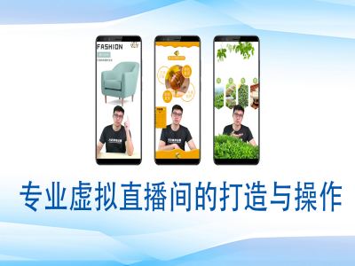 个人虚拟直播间的搭建与操作，专业虚拟直播间的打造与操作-蜜桃网创