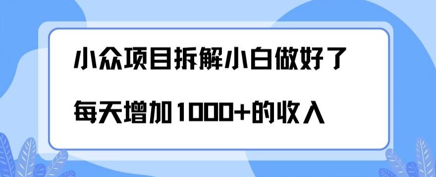 小众项目拆解，小白做好了每天可增加1000多的收入-蜜桃网创