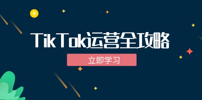 TikTok实战运营全攻略:从下载软件到变现,抖音海外版实操教程-蜜桃网创