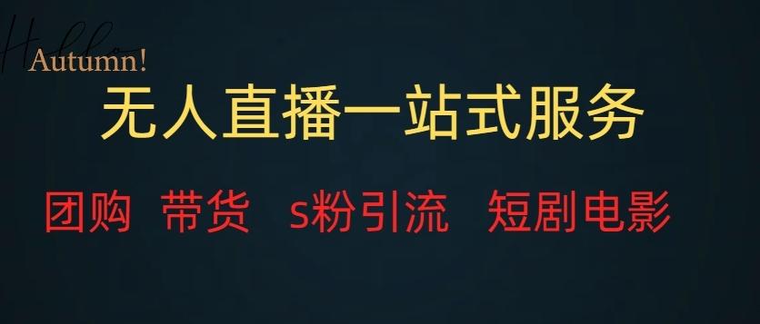 无人直播一站式服务(教程以及变现方式)