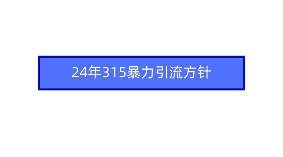 (9398期)2024年315暴力引流方针-蜜桃网创