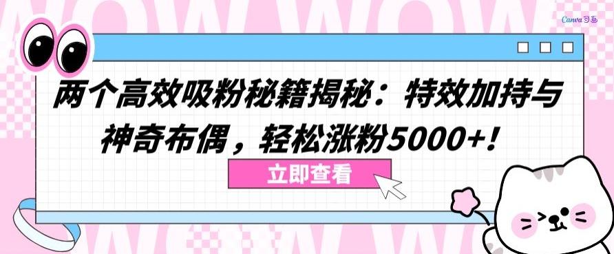 两个高效吸粉秘籍揭秘：特效加持与神奇布偶，轻松涨粉5000+【揭秘】-蜜桃网创