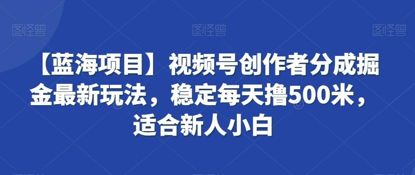 【蓝海项目】视频号创作者分成掘金最新玩法，稳定每天撸500米，适合新人小白【揭秘】-蜜桃网创