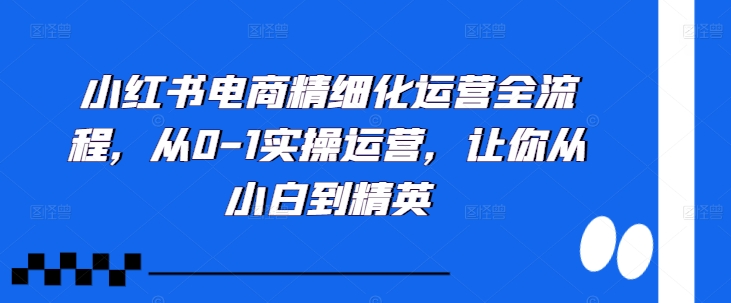 小红书电商精细化运营全流程，从0-1实操运营，让你从小白到精英-蜜桃网创