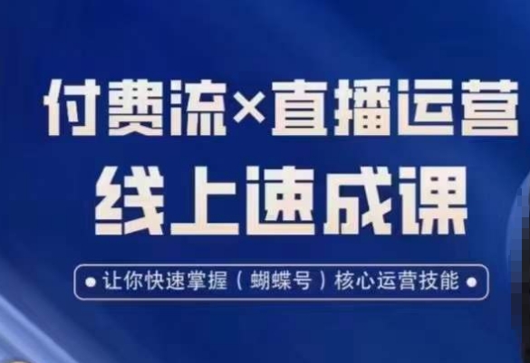 视频号付费流实操课程，付费流✖️直播运营速成课，让你快速掌握视频号核心运营技能-蜜桃网创