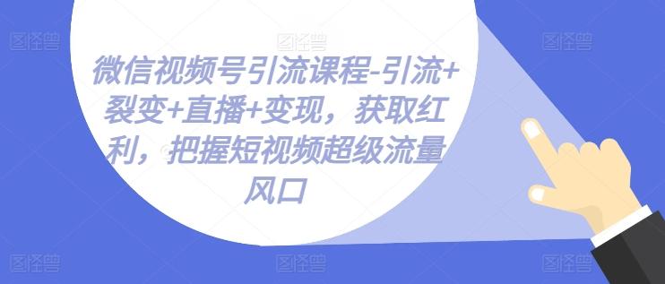 微信视频号引流课程-引流+裂变+直播+变现,获取红利,把握短视频超级流量风口-蜜桃网创