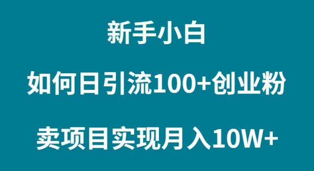 (9556期)新手小白如何通过卖项目实现月入10W+-蜜桃网创