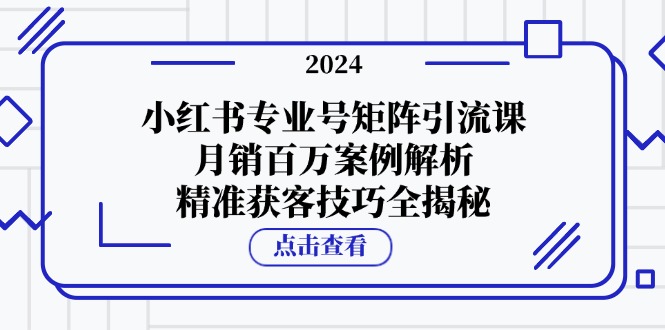 小红书专业号矩阵引流课，月销百万案例解析，精准获客技巧全揭秘-蜜桃网创