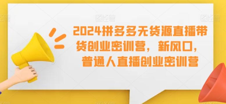 2024拼多多无货源直播带货创业密训营，新风口，普通人直播创业密训营-蜜桃网创