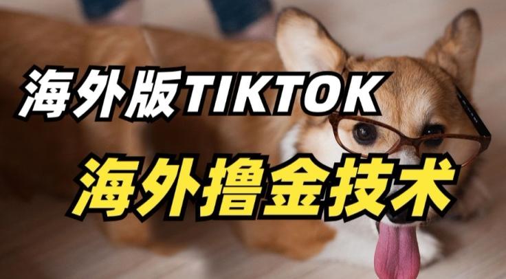 抖音海外版tiktok撸金技术,这个风口行业,赚钱真的不难【揭秘】-蜜桃网创
