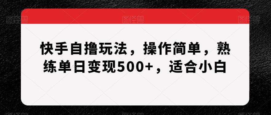 快手自撸玩法，操作简单，熟练单日变现500+，适合小白【揭秘】-蜜桃网创