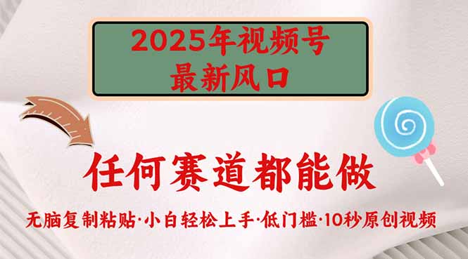 2025年视频号新风口，低门槛只需要无脑执行-蜜桃网创