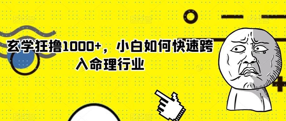 玄学狂撸1000+，小白如何快速跨入命理行业-蜜桃网创