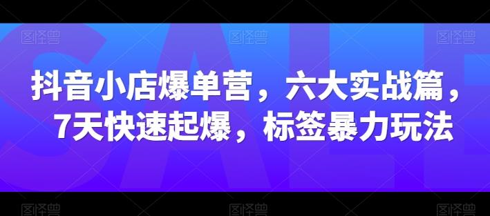 抖音小店爆单营，六大实战篇，7天快速起爆，标签暴力玩法-蜜桃网创