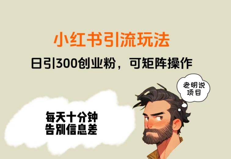 靠小红书视频日印300粉，两分钟一个视频轻松矩阵-蜜桃网创