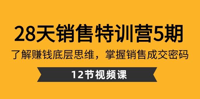 28天销售特训营5期：了解赚钱底层思维，掌握销售成交密码（12节课）-蜜桃网创
