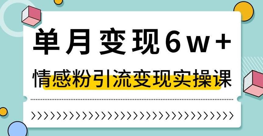 单月变现6W+，抖音情感粉引流变现实操课，小白可做，轻松上手，独家赛道【揭秘】-蜜桃网创