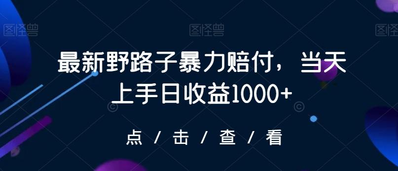 最新野路子暴力赔付，当天上手日收益1000+【仅揭秘】-蜜桃网创