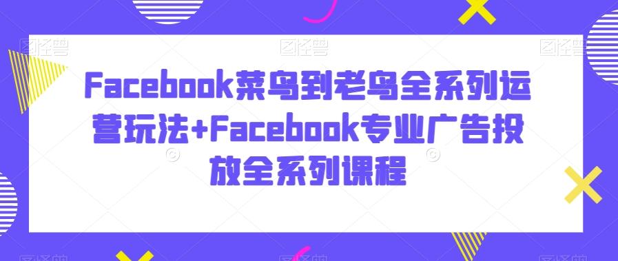 Facebook菜鸟到老鸟全系列运营玩法+Facebook专业广告投放全系列课程-蜜桃网创