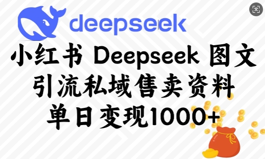 小红书Deepseek图文引流私域售卖资料，单日变现多张-蜜桃网创