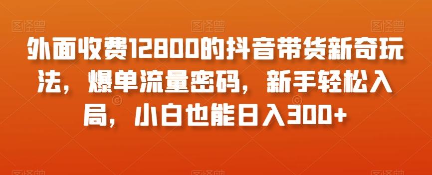 外面收费12800的抖音带货新奇玩法，爆单流量密码，新手轻松入局，小白也能日入300+【揭秘】-蜜桃网创