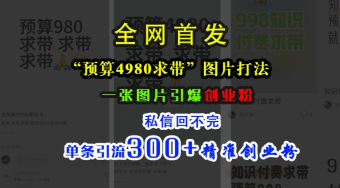 小红书“预算4980带我飞”图片打法，一张图片引爆创业粉，私信回不完，单条引流300+精准创业粉-蜜桃网创