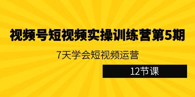 视频号短视频实操训练营第5期：7天学会短视频运营(12节课)-蜜桃网创