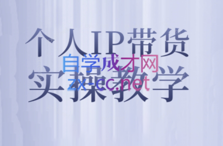 萌神姐姐·个人IP真人出镜短视频实操课-蜜桃网创