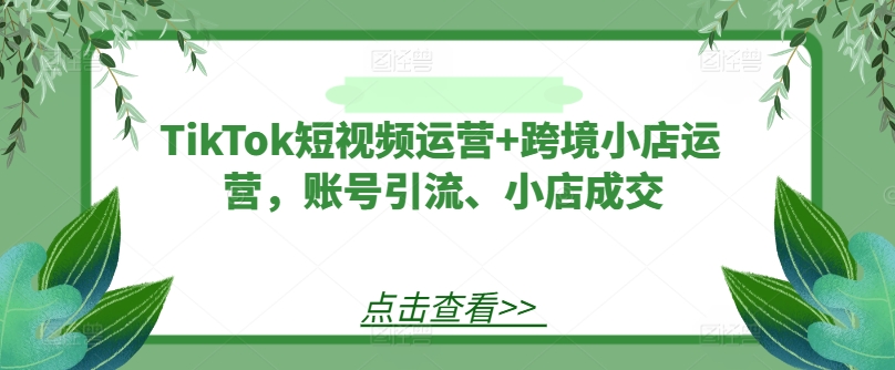 TikTok短视频运营+跨境小店运营，账号引流、小店成交-蜜桃网创