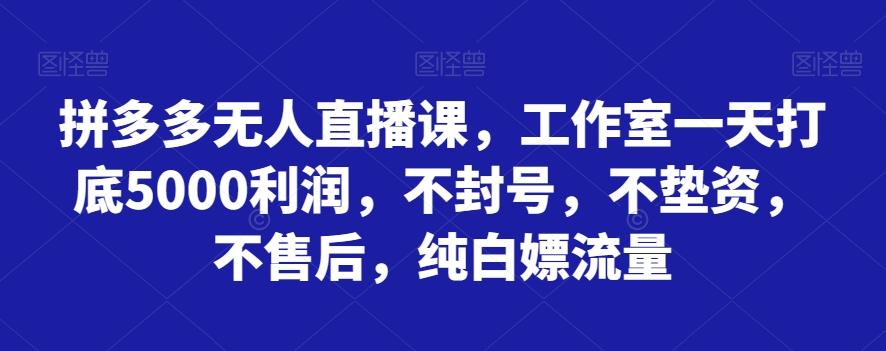 拼多多无人直播课，工作室一天打底5000利润，不封号，不垫资，不售后，纯白嫖流量-蜜桃网创