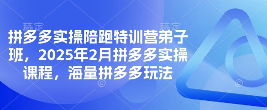 拼多多实操陪跑特训营弟子班，2025年2月拼多多实操课程，海量拼多多玩法-蜜桃网创
