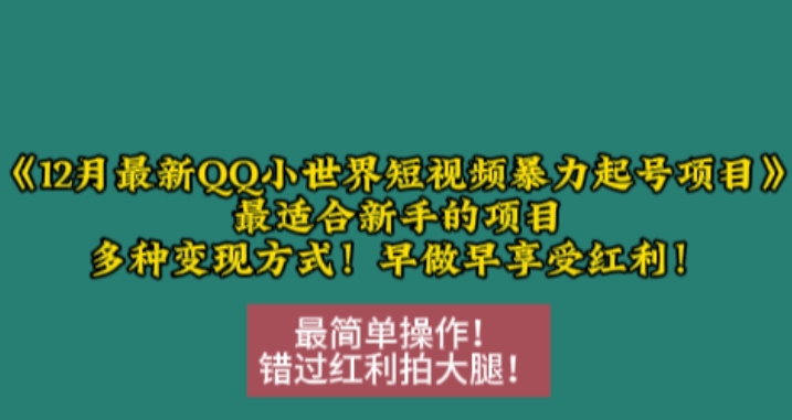 12月最新QQ小世界短视频暴力起号项目，最适合新手的项目，多种变现方式-蜜桃网创