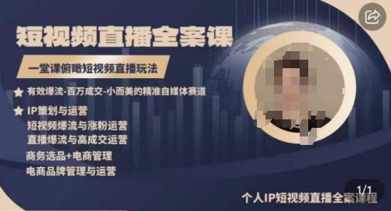 高品质IP短视频直播全案课程，一堂课俯瞰短视频直播玩法-蜜桃网创