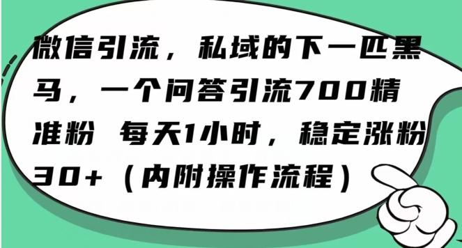怎么搞精准创业粉?微信新赛道,每天一小时,利用Ai一个问答日引100精准粉-蜜桃网创