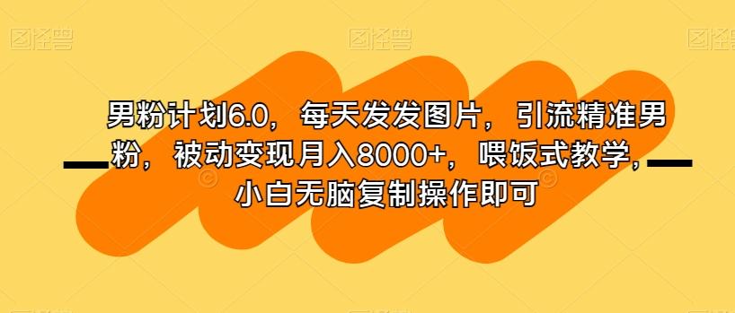 男粉计划6.0，每天发发图片，引流精准男粉，被动变现月入8000+，喂饭式教学，小白无脑复制操作即可-蜜桃网创