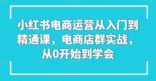 小红书电商运营从入门到精通课,电商店群实战,从0开始到学会-蜜桃网创