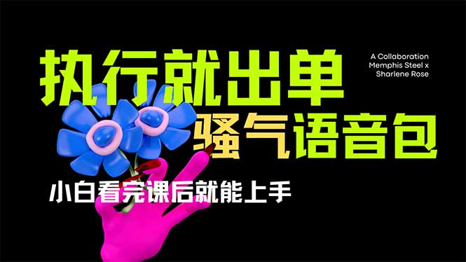 爆火全网的开车导航骚气语音包,只要执行就出单，小白看完课程就能实操…-蜜桃网创