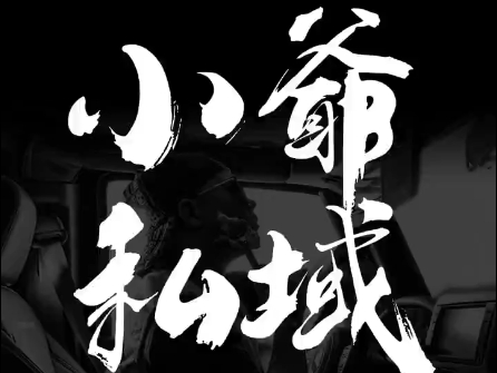 小爷·私域项目操盘手-蜜桃网创