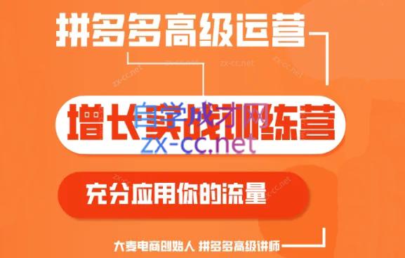 大麦老师·拼多多单品爆款打造课程(更新6月)-蜜桃网创