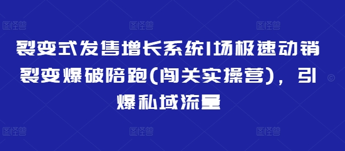 裂变式发售增长系统1场极速动销裂变爆破陪跑(闯关实操营)，引爆私域流量-蜜桃网创