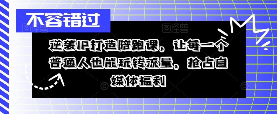 逆袭IP打造陪跑课，让每一个普通人也能玩转流量，抢占自媒体福利-蜜桃网创