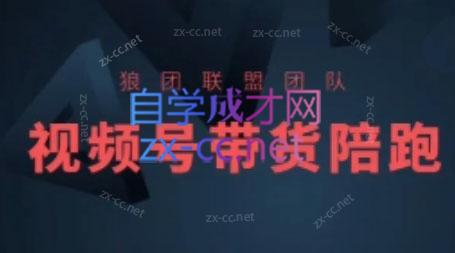 狼团联盟·2024视频号带货-蜜桃网创